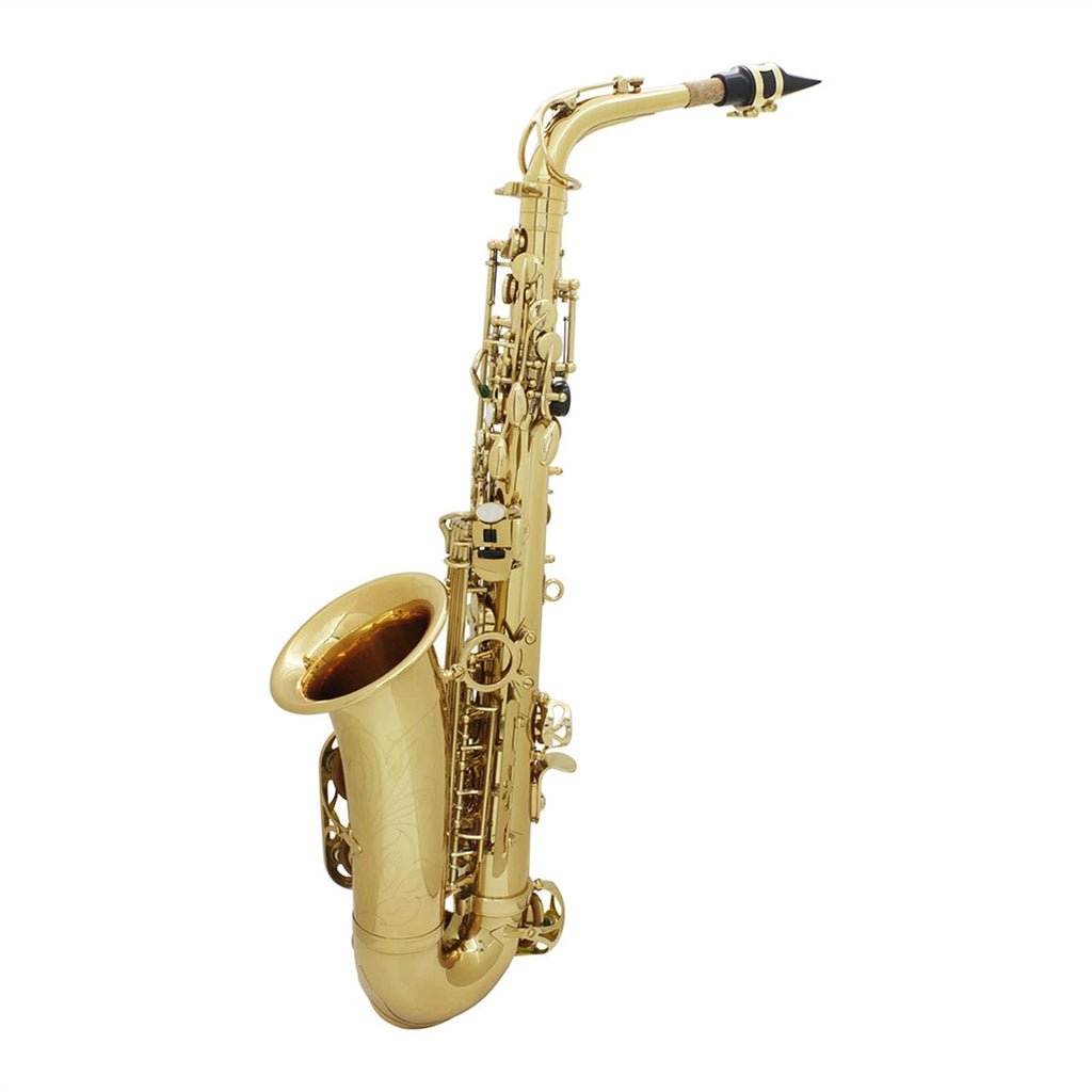 Alto Saxophone Set G54968