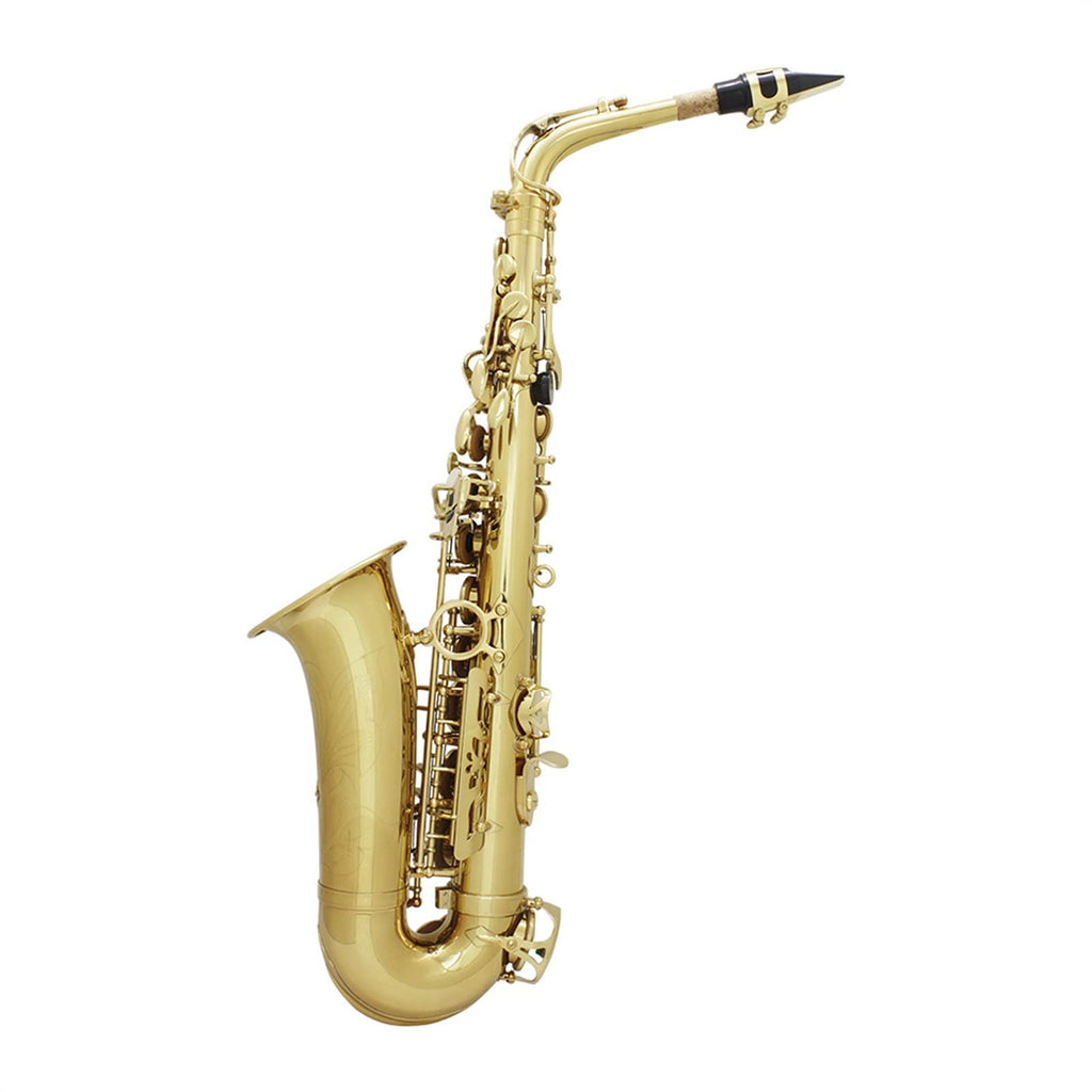 Alto Saxophone Set G54968