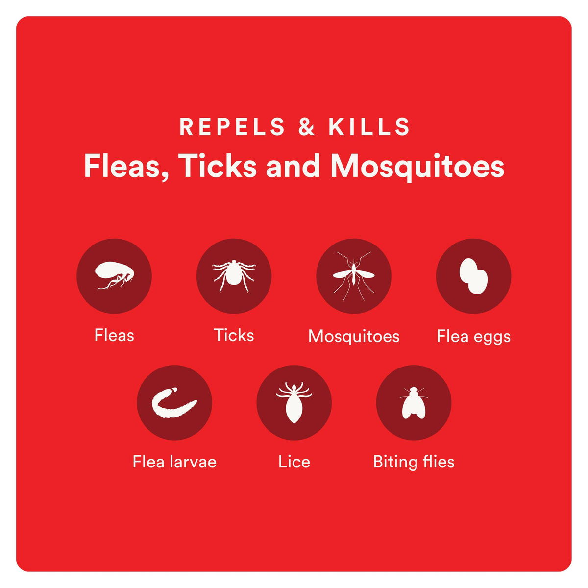 Flea and Tick Prevention for Small Dogs 6 Doses C72199