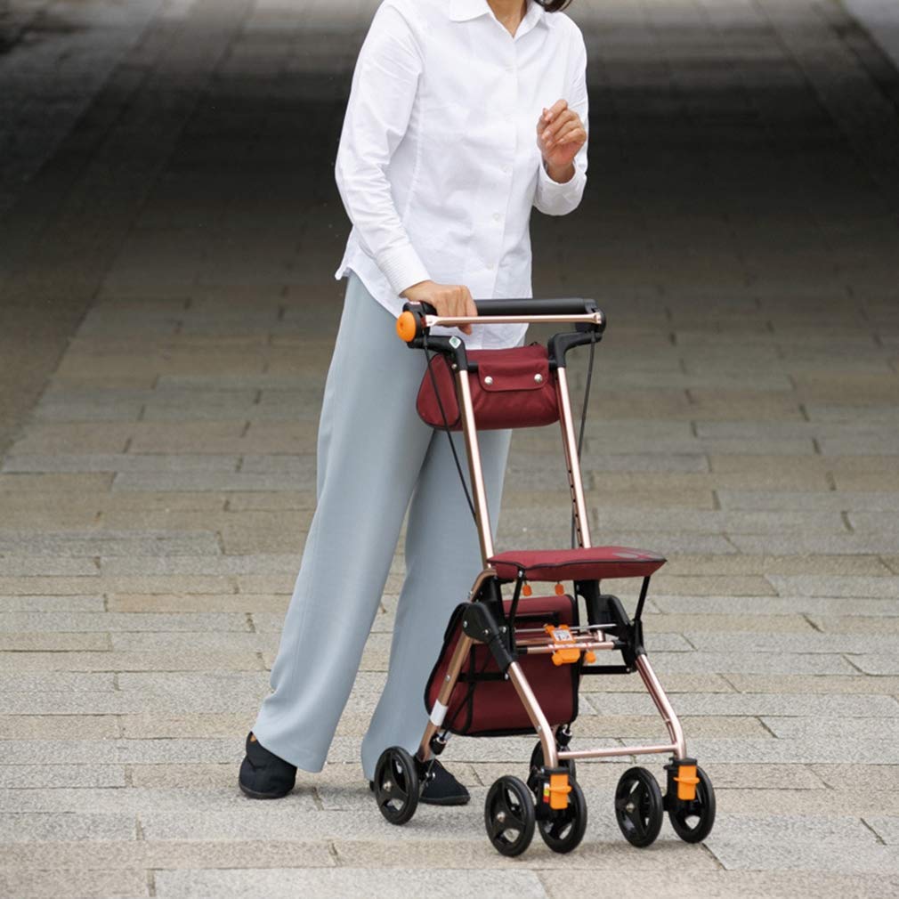 4 Wheels Foldable Rollator Walker with Seat B311