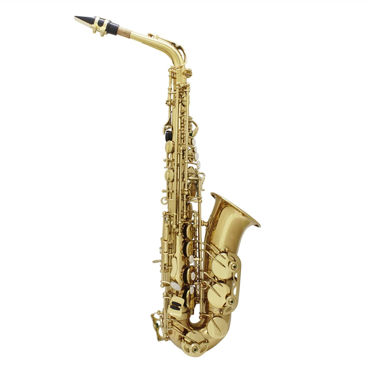 Alto Saxophone Set G54968