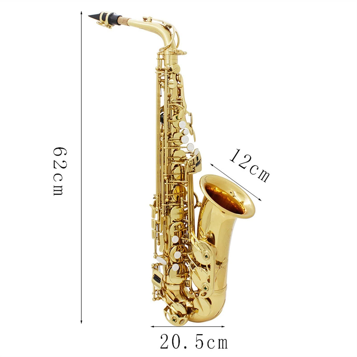 Alto Saxophone Set G54968
