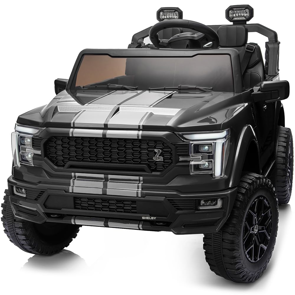 24V 2-Seater Ride on Toy Car J4480