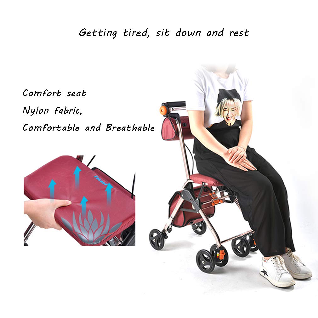 4 Wheels Foldable Rollator Walker with Seat B311