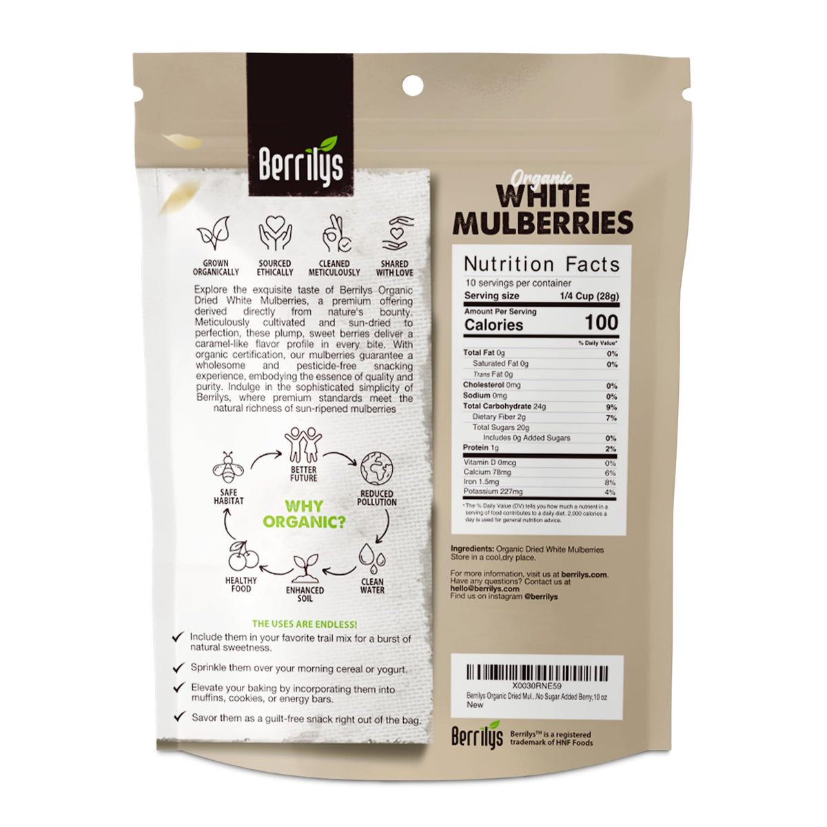 Organic Dried White Mulberries 2 Pack 10oz C391