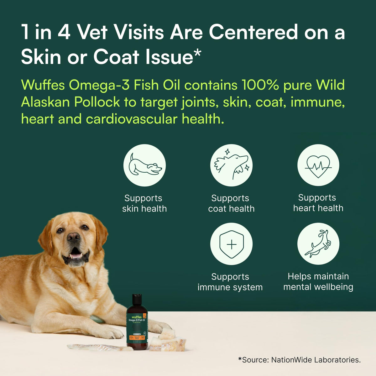 Omega-3 Fish Oil for Dogs, 16 oz Wild Alaskan Pollock Oil E2063