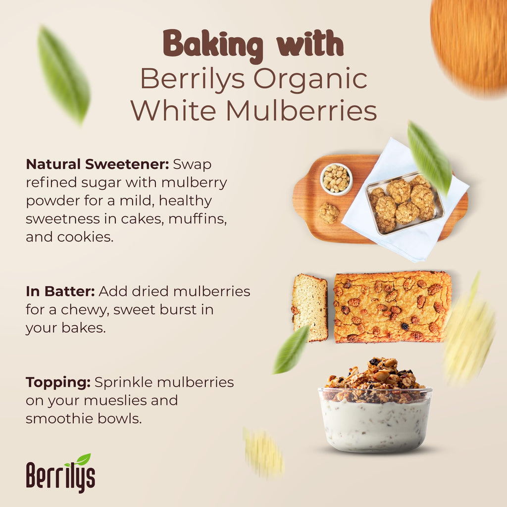 Organic Dried White Mulberries 2 Pack 10oz C391