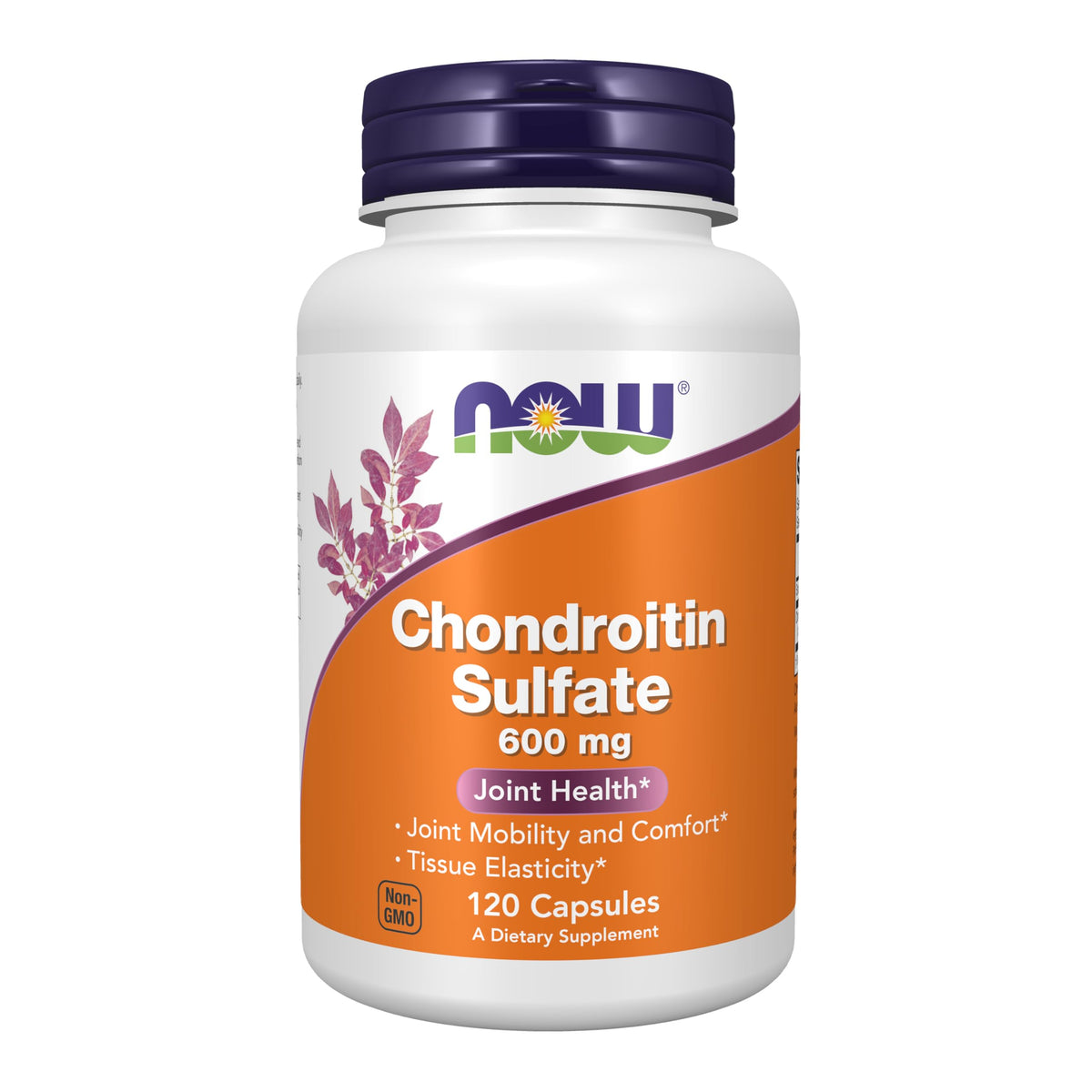 Chondroitin Sulfate 600 mg 120 Caps L2514