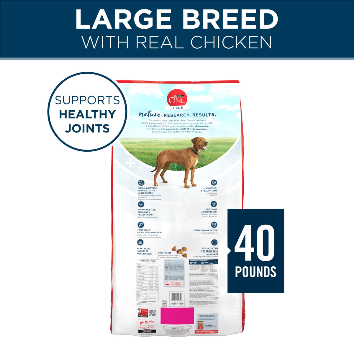 Adult Large Breed Dry Dog Food Chicken 40 lb Bag P62381