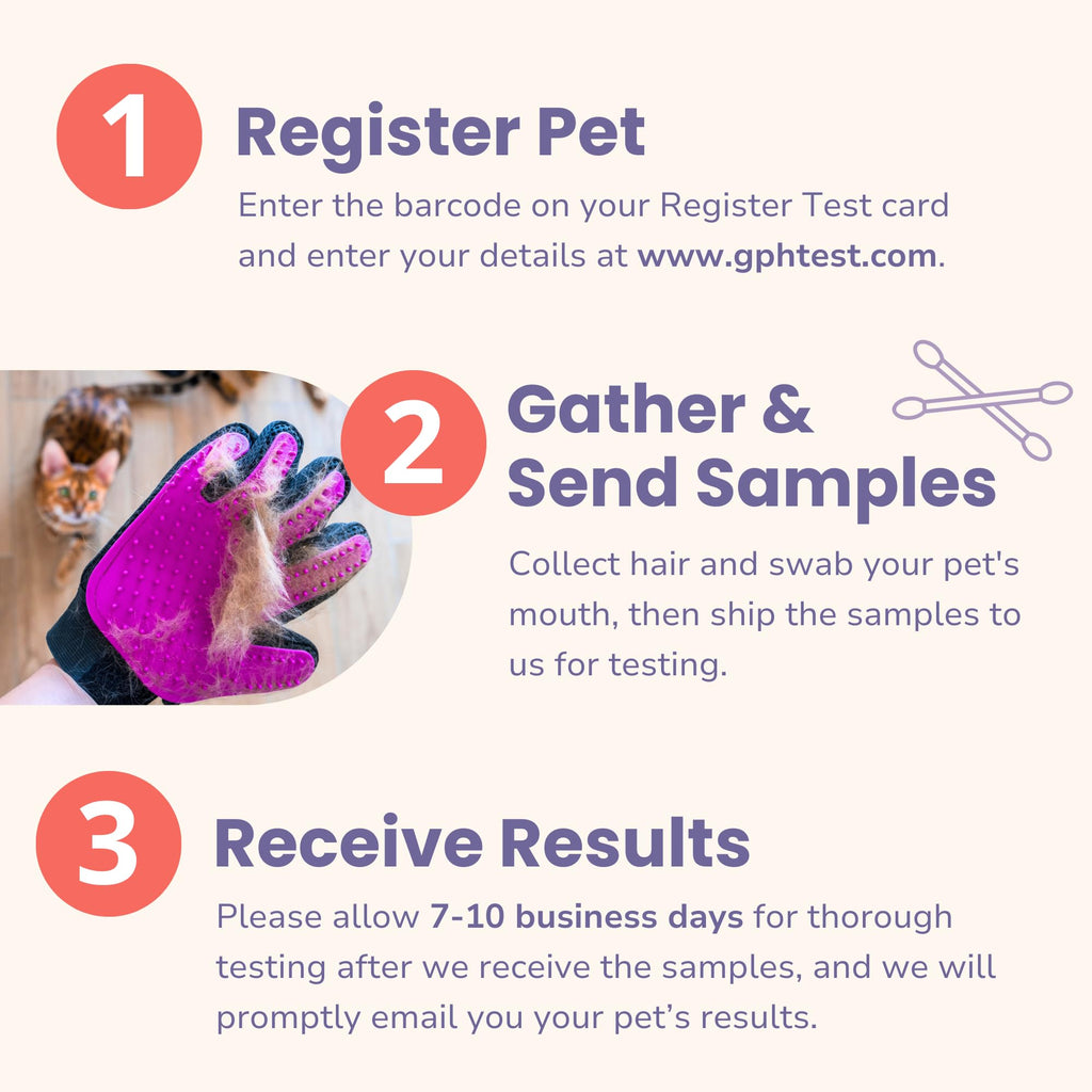Pet Intolerance Test Dogs & Cats D86529