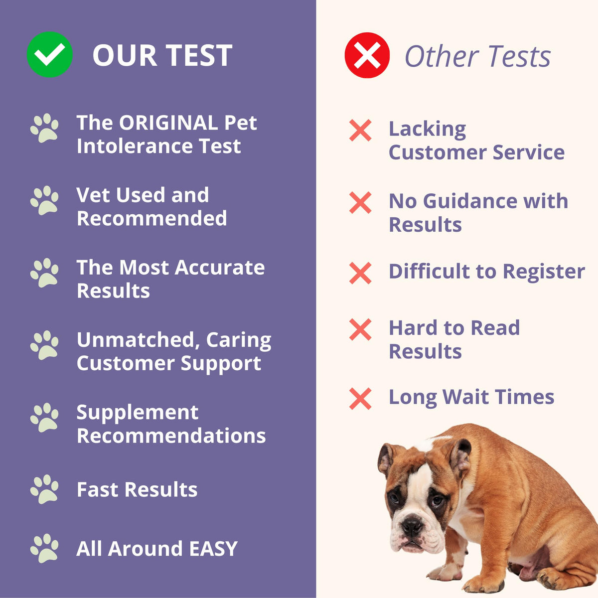 Pet Intolerance Test Dogs & Cats D86529