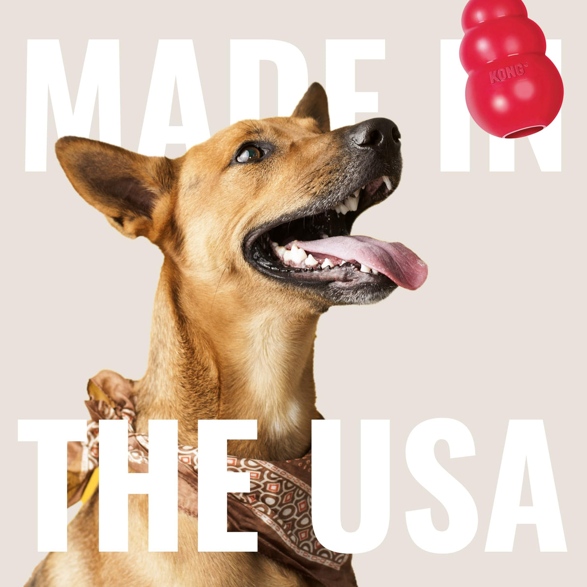 Peanut Butter and Sweet Potato Dog Treat Paste 5 oz F437820