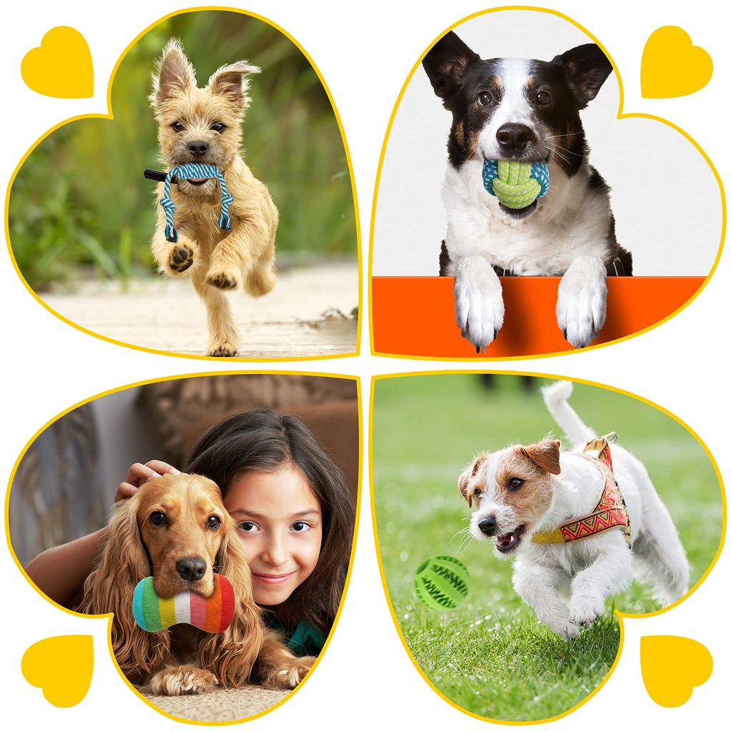 25 Pack Dog Chew Toys N4153