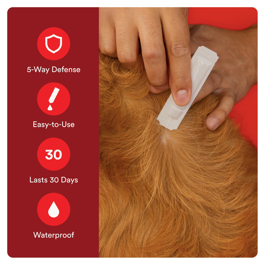 Flea and Tick Prevention for Small Dogs 6 Doses C72199