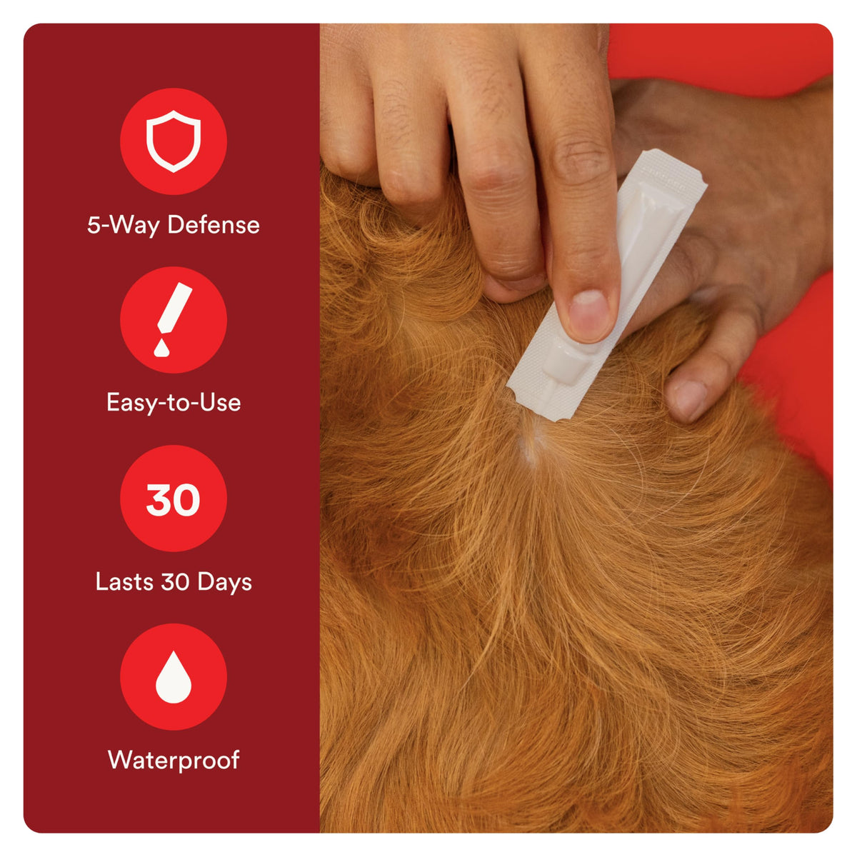 Flea and Tick Prevention for Small Dogs 6 Doses C72199