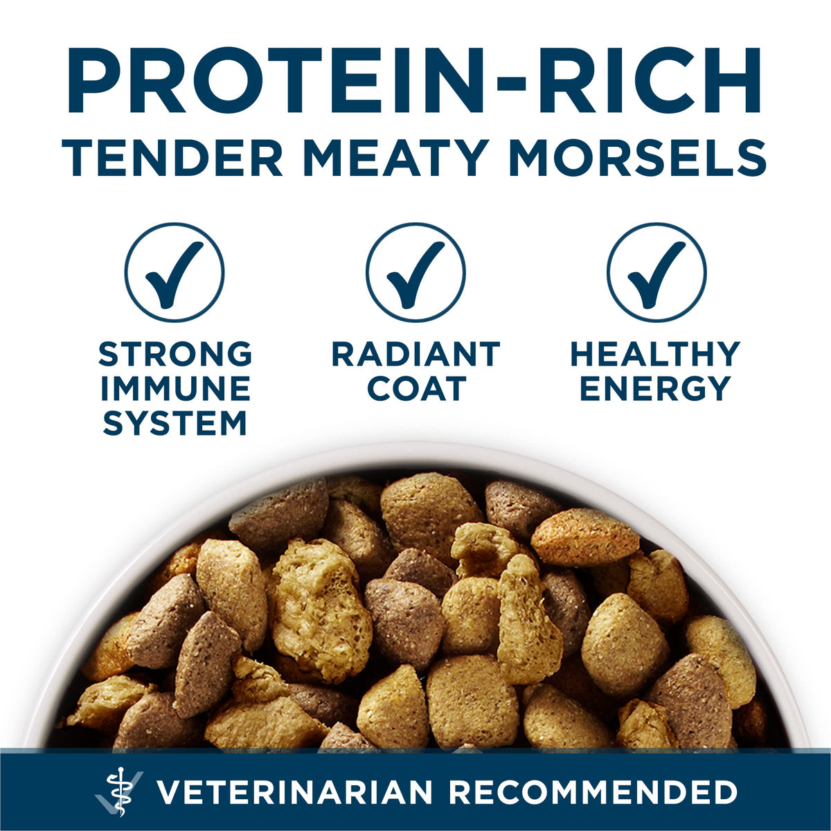 Adult Large Breed Dry Dog Food Chicken 40 lb Bag P62381