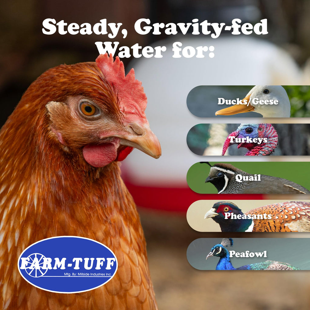 3 Gallon BPA-Free Plastic Hanging Chicken Waterer J46695