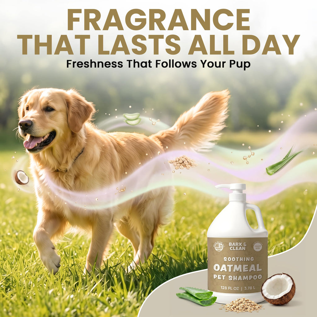 Oatmeal Dog Shampoo 1 Gallon with Pump Hypoallergenic Aloe Vera Coconut Oil G58397