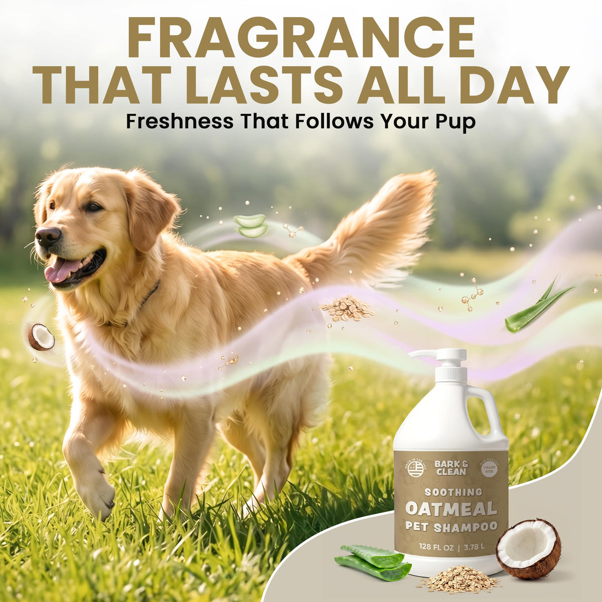 Oatmeal Dog Shampoo 1 Gallon with Pump Hypoallergenic Aloe Vera Coconut Oil G58397