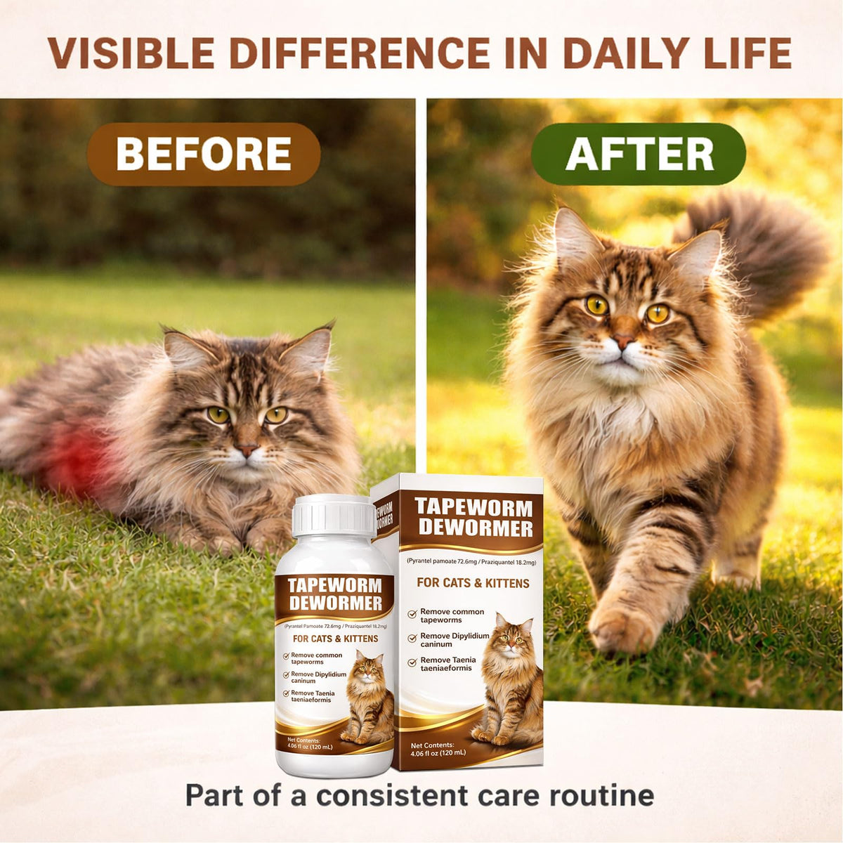 Cat Dewormer Liquid Broad Spectrum Treatment 120ml C487080