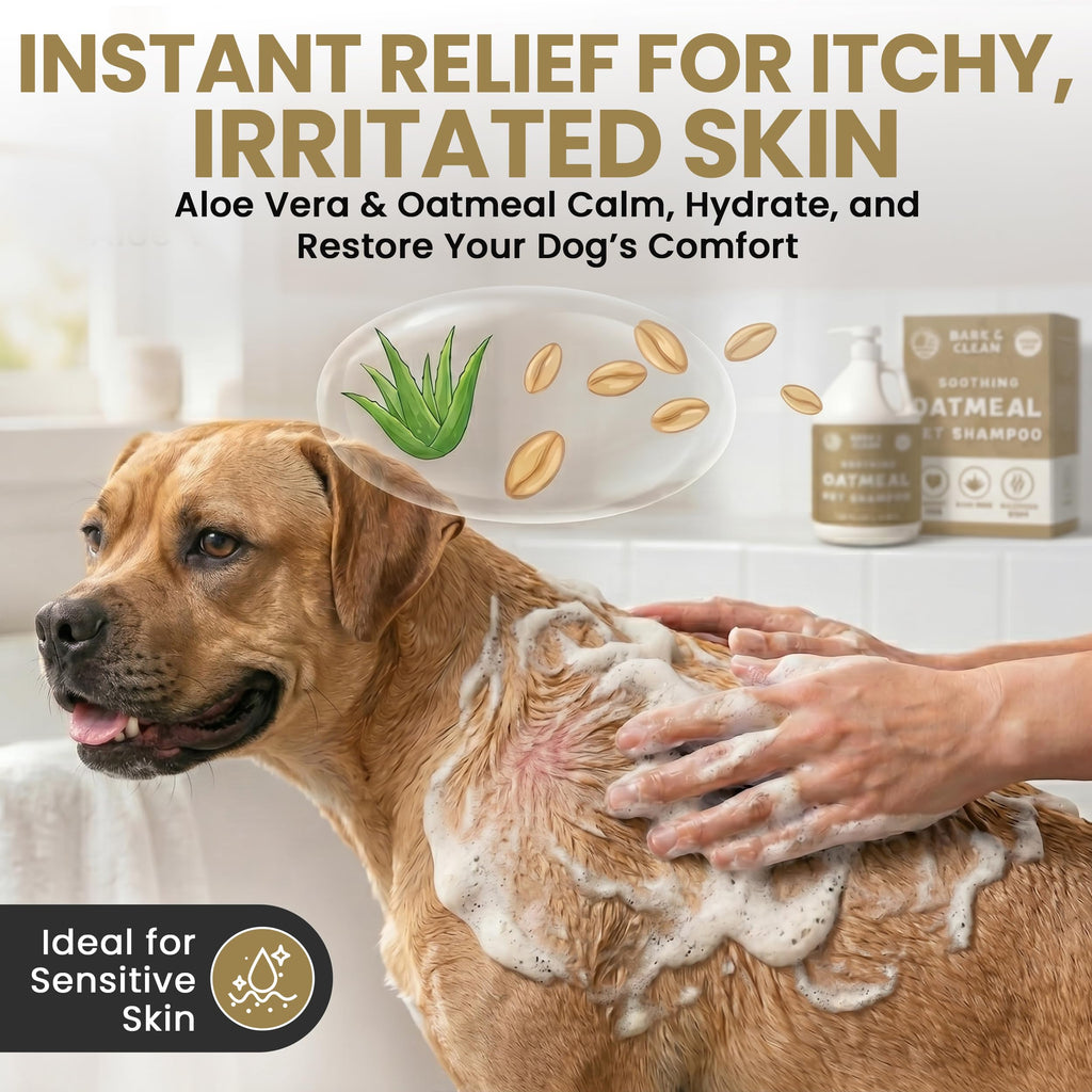 Oatmeal Dog Shampoo 1 Gallon with Pump Hypoallergenic Aloe Vera Coconut Oil G58397