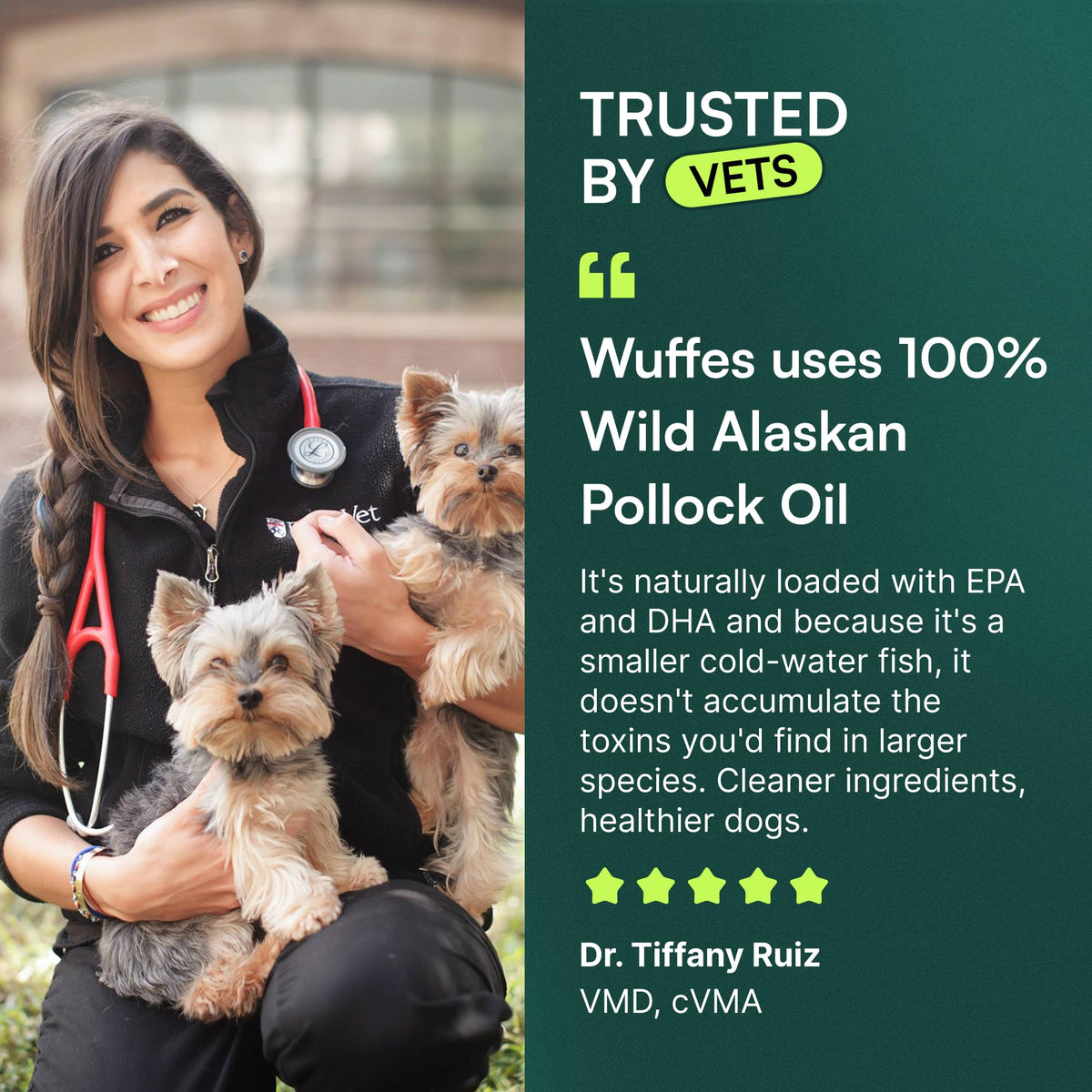 Omega-3 Fish Oil for Dogs, 16 oz Wild Alaskan Pollock Oil E2063