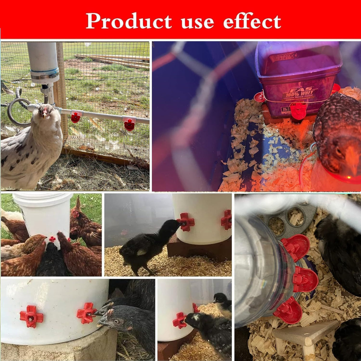 12-Pack Automatic Chicken Water Nipples with Cups N285