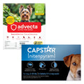 Flea and Tick Prevention for Small Dogs 6 Doses C72199