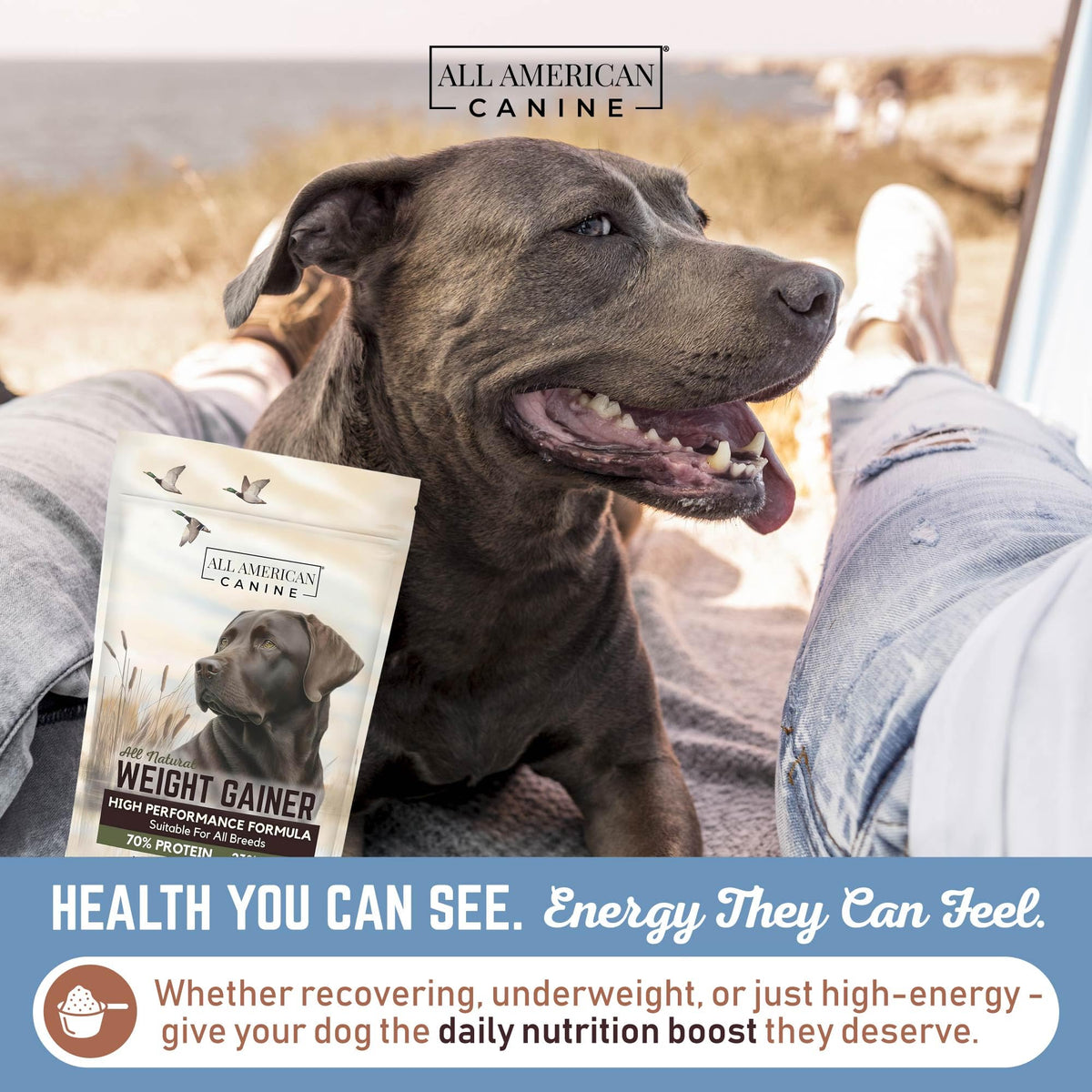 High Calorie Dog Weight Gainer Powder 60 Servings A8447