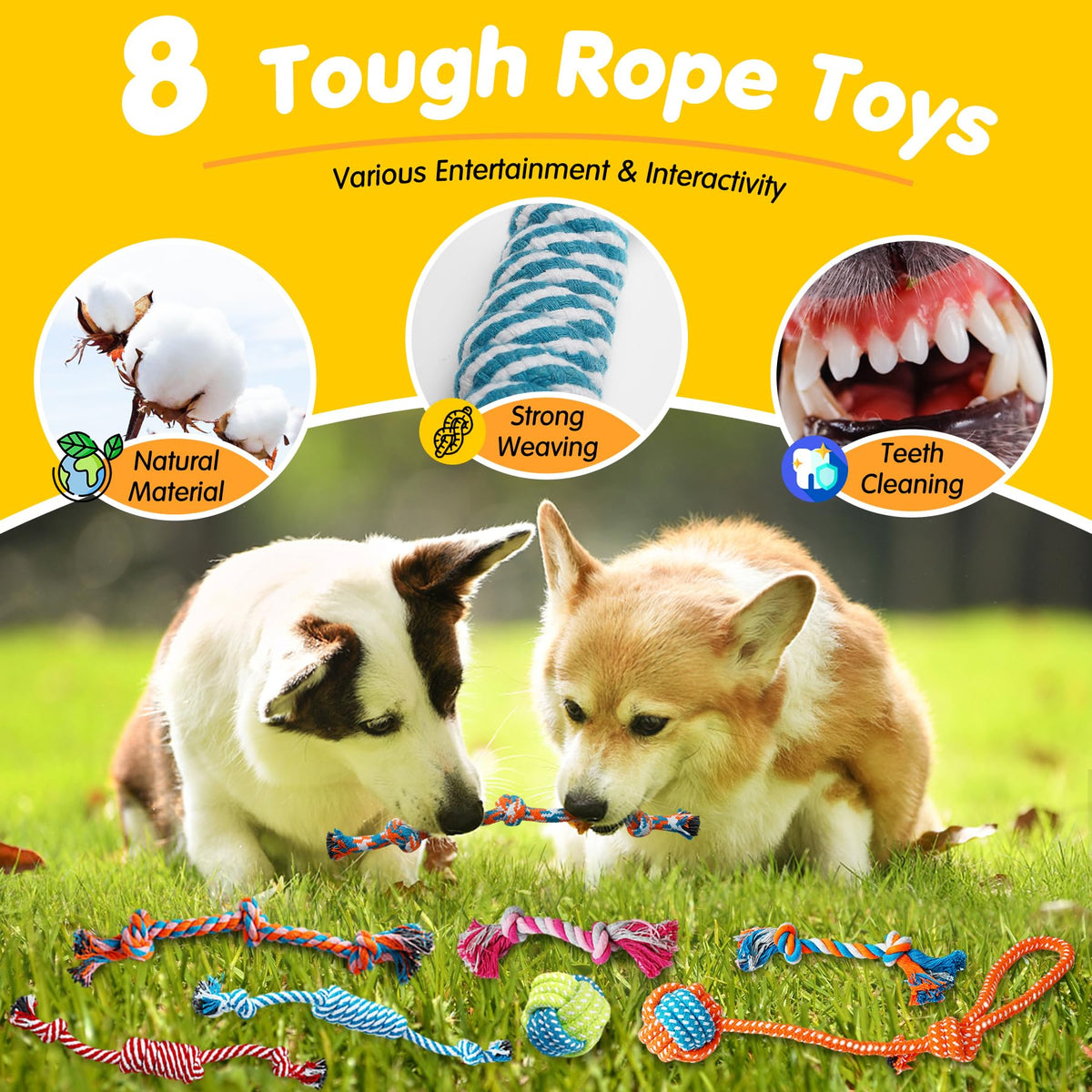 25 Pack Dog Chew Toys N4153