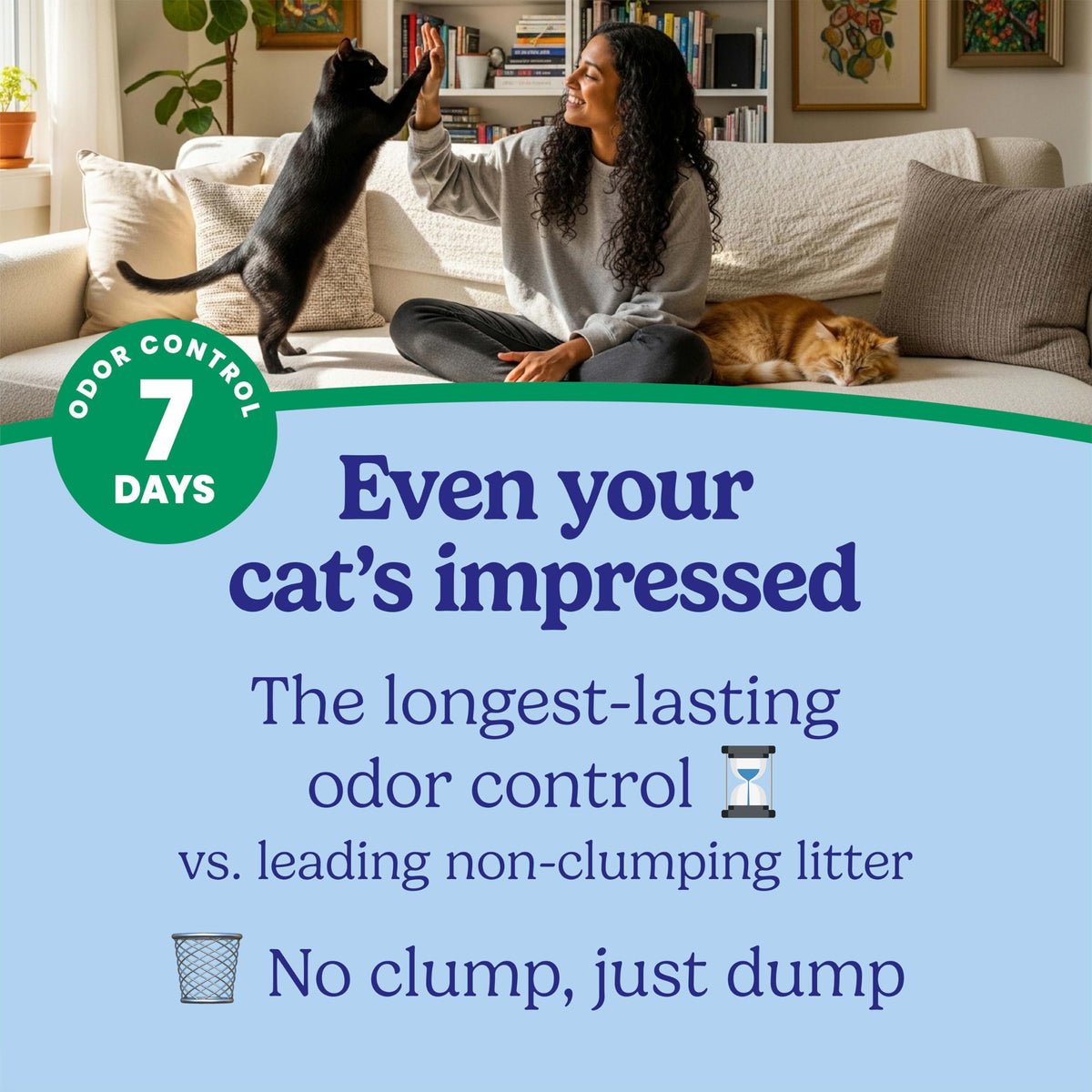Non Clumping Cat Litter with Odor Control, 21 lb. Bag J848653