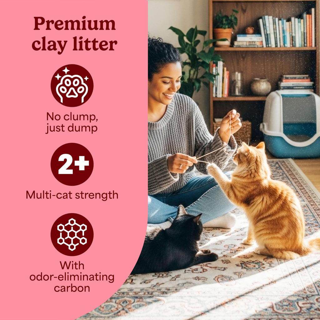 Non Clumping Cat Litter with Odor Control, 21 lb. Bag J848653