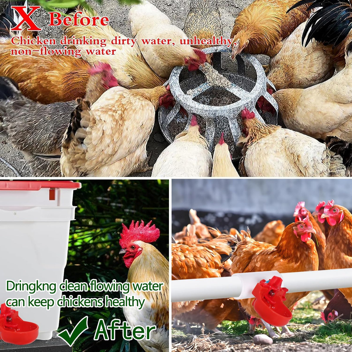 12-Pack Automatic Chicken Water Nipples with Cups N285