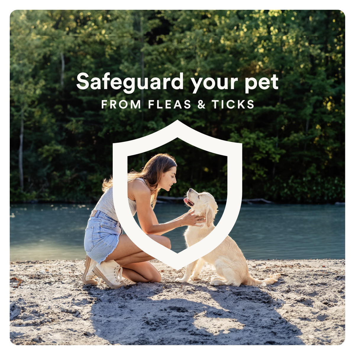 Flea and Tick Prevention for Small Dogs 6 Doses C72199