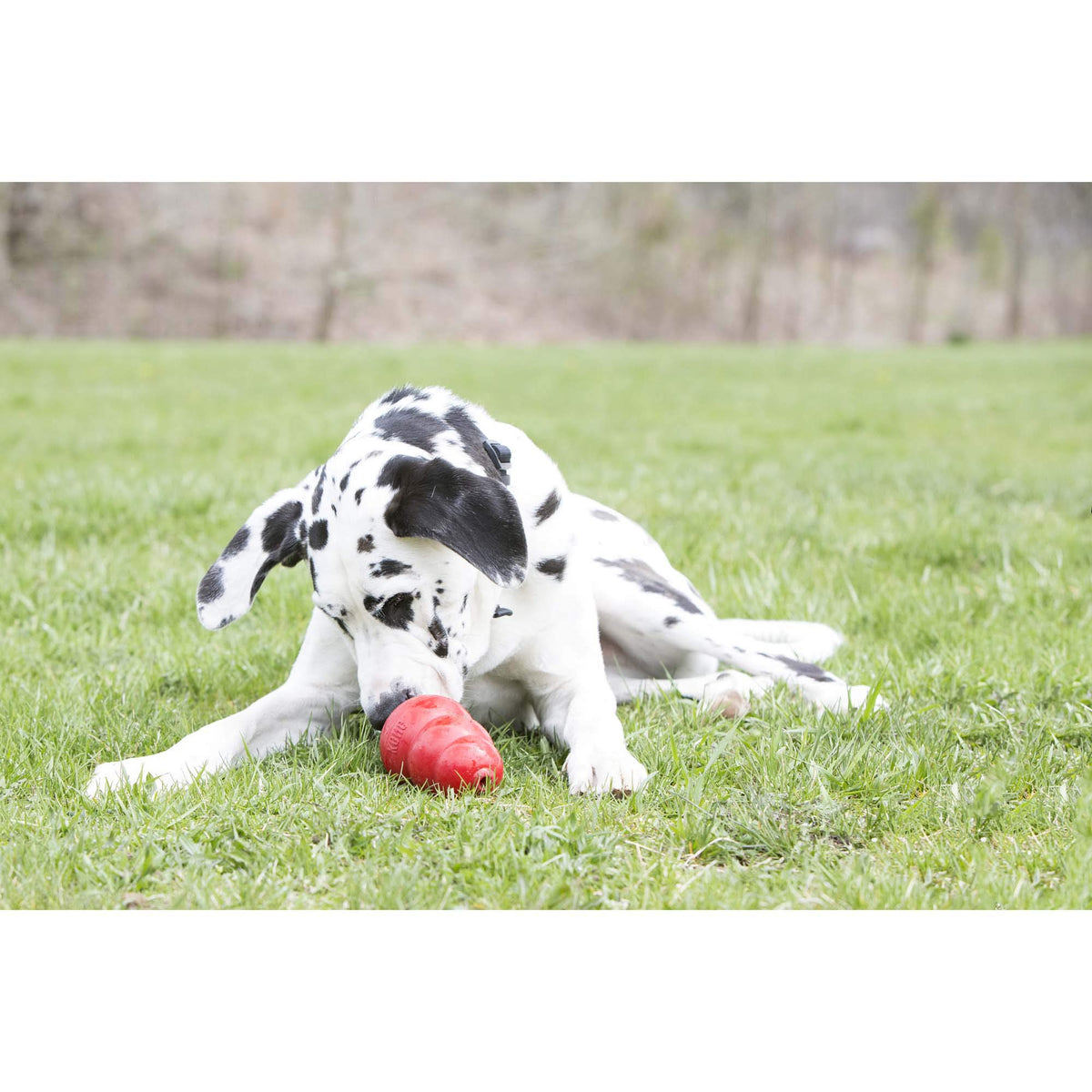 Peanut Butter and Sweet Potato Dog Treat Paste 5 oz F437820