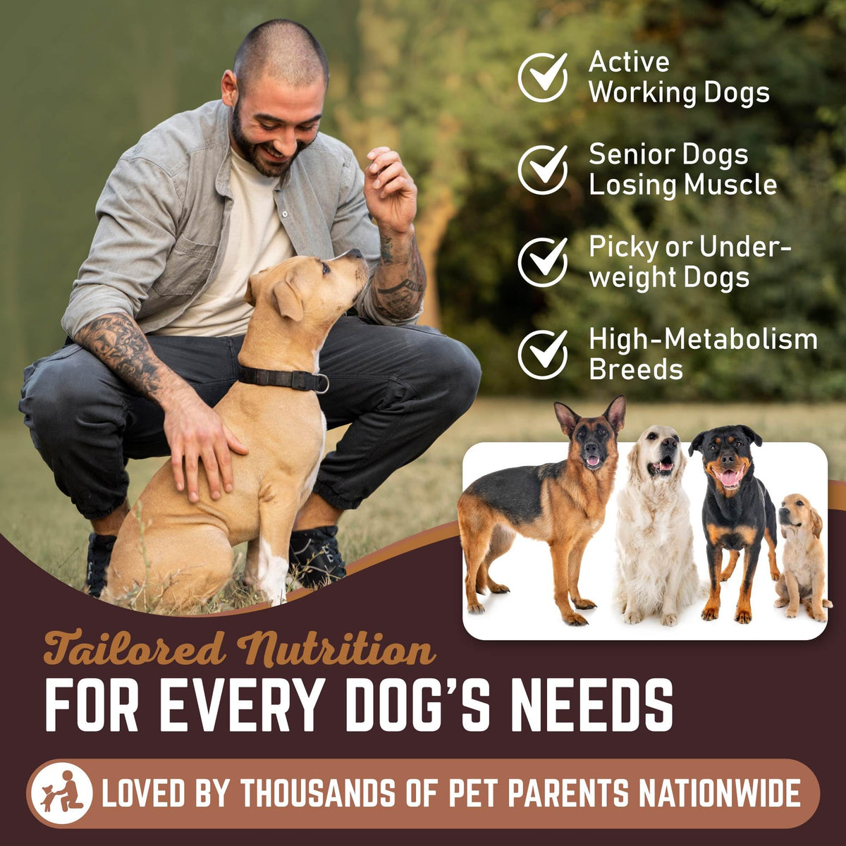 High Calorie Dog Weight Gainer Powder 60 Servings A8447