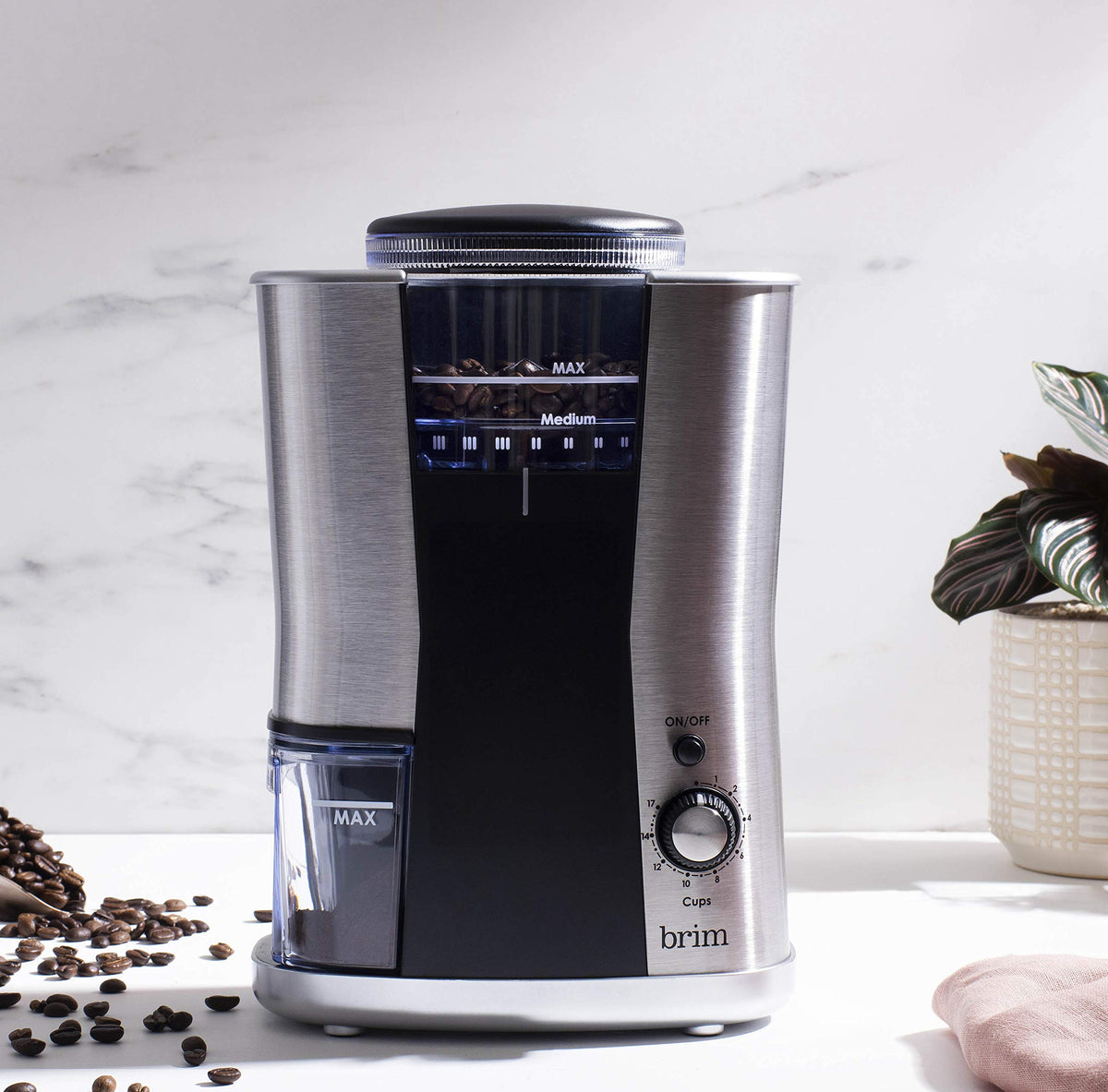 Conical Burr Coffee Grinder, 17 Grind Settings, Stainless Steel/Black V49554