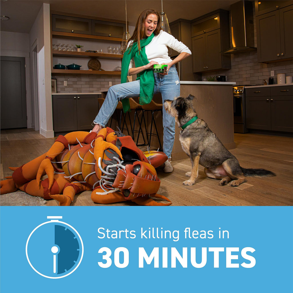 Flea and Tick Prevention for Small Dogs 6 Doses C72199